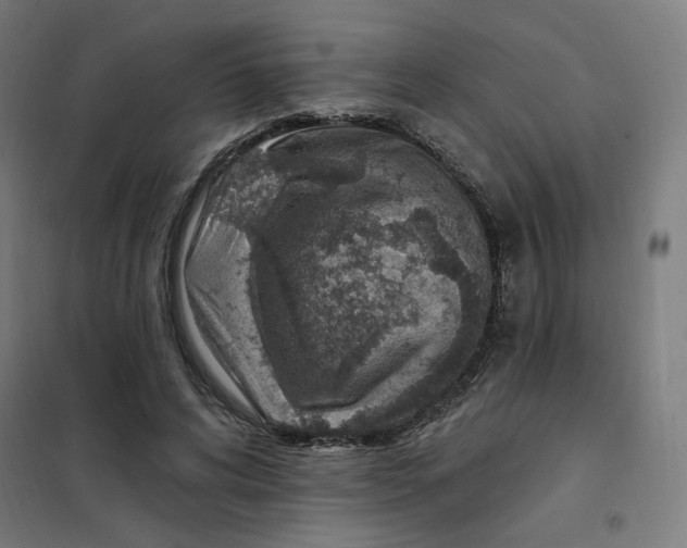 X0000101180592200807250942