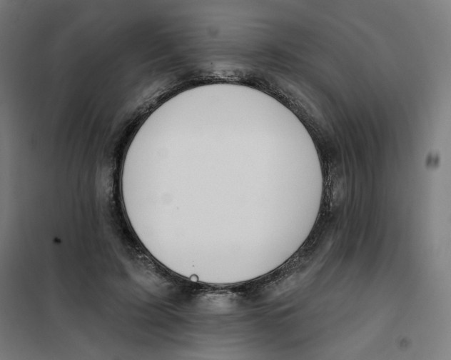 X0000101180595200807250942