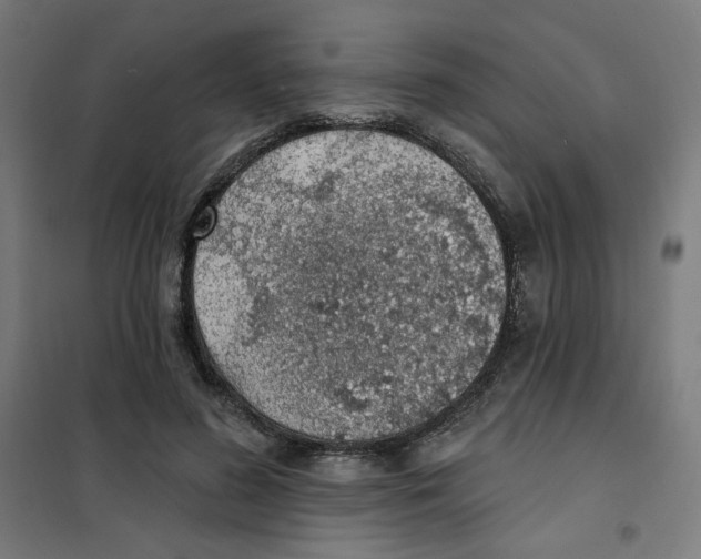 X0000101180596200807250942