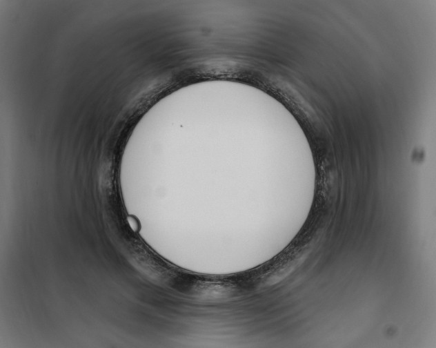 X0000101180597200807250942