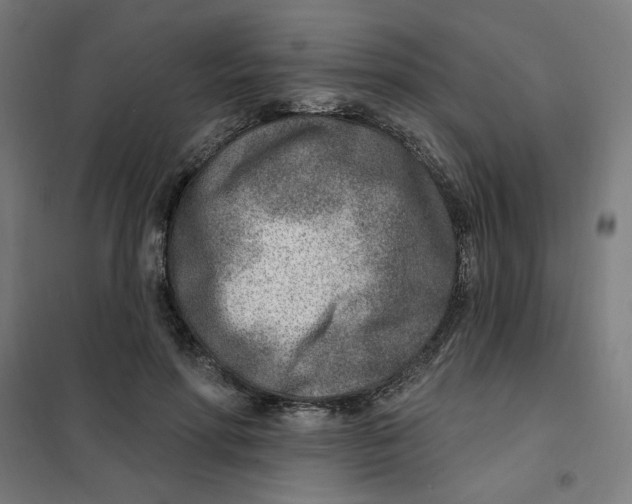 X0000101180598200807250942