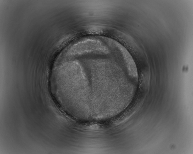 X0000101180600200807250941