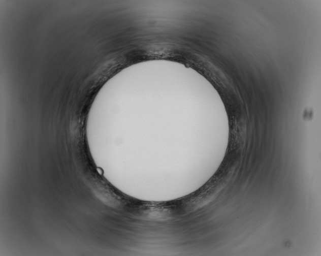 X0000101180601200807250941