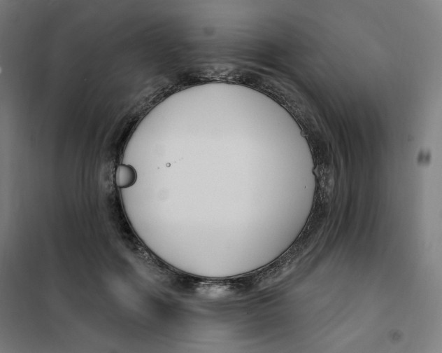 X0000101180602200807250941