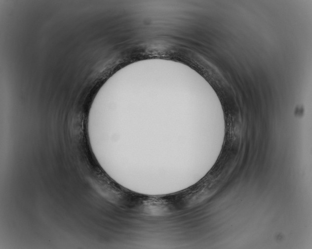 X0000101180603200807250941