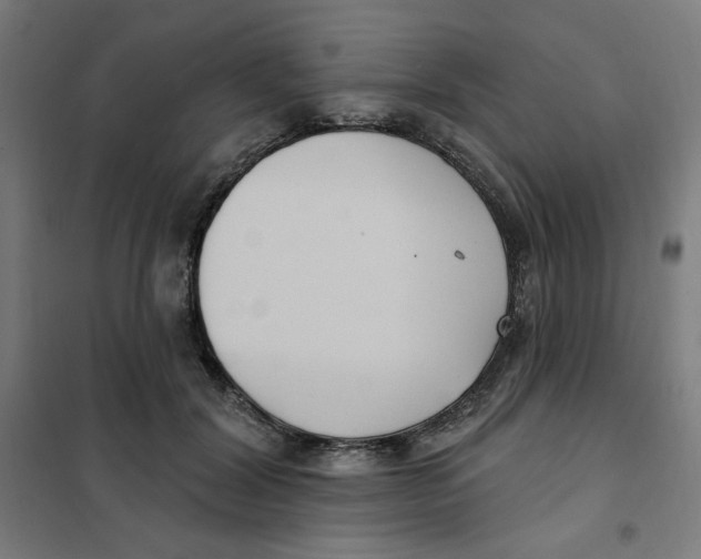 X0000101180604200807250941