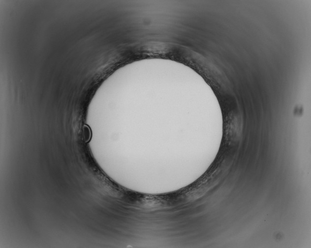 X0000101180608200807250941