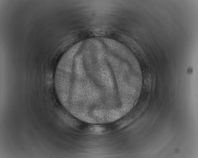 X0000101180610200807250941