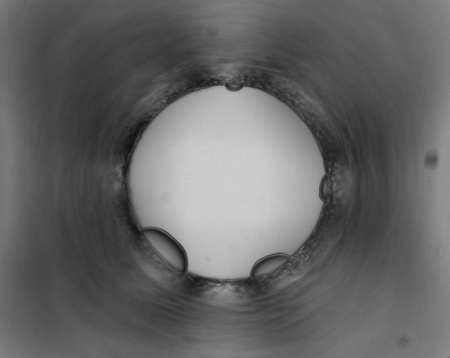 X0000101180611200807250941