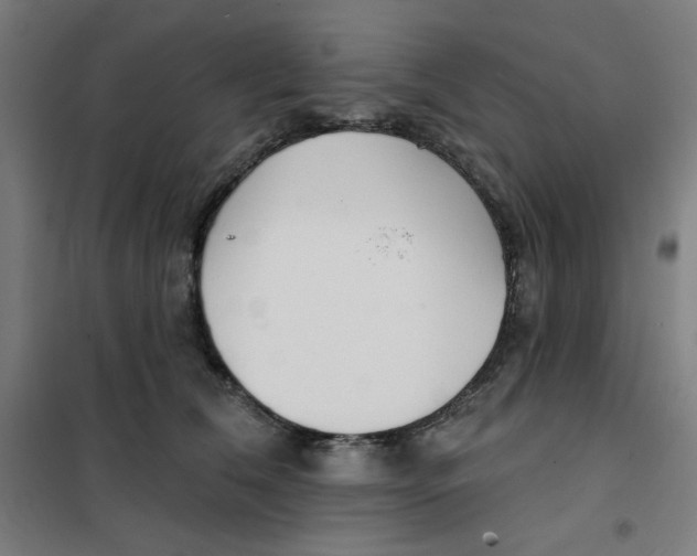 X0000101180612200807250941