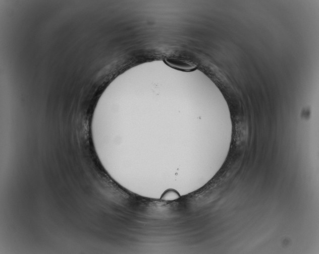 X0000101180613200807250941