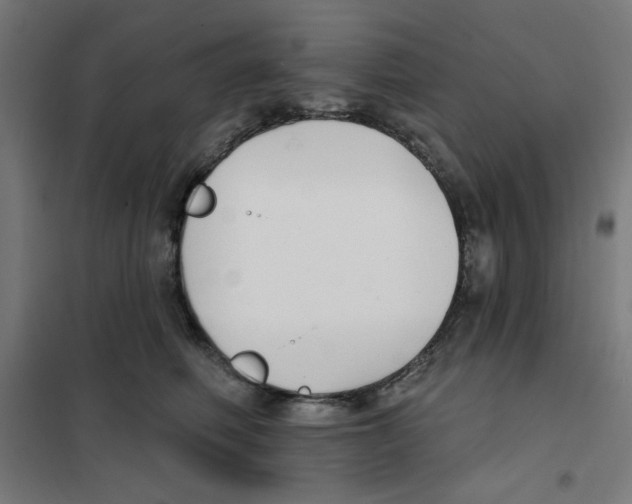 X0000101180614200807250941