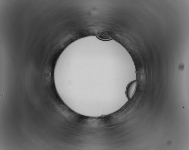 X0000101180615200807250941