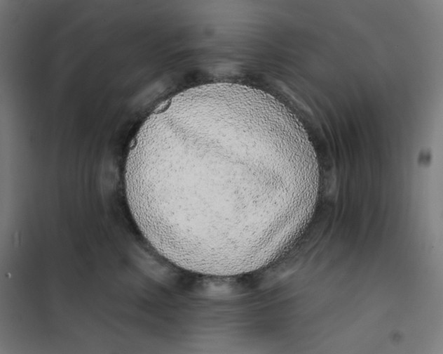 X0000101180618200807250941