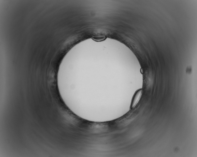 X0000101180619200807250941