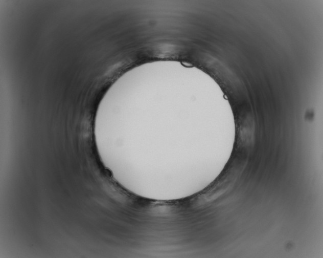 X0000101180620200807250941