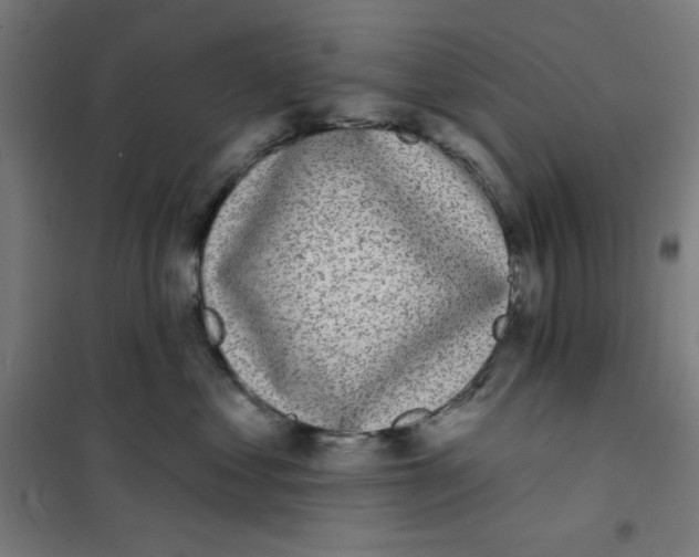 X0000101180621200807250941