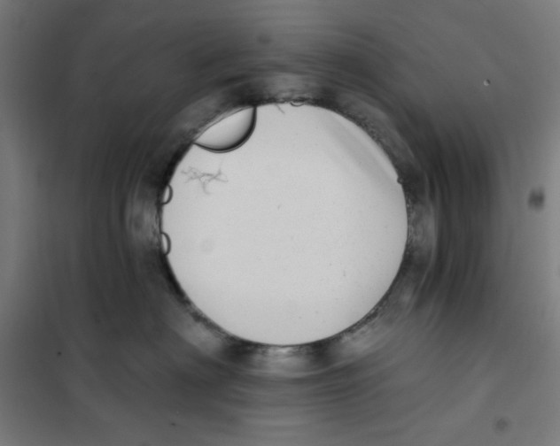 X0000101180622200807250941