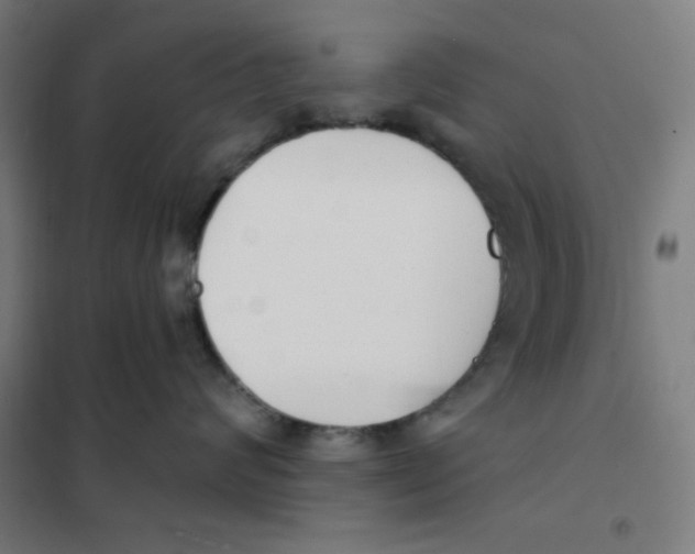 X0000101180624200807250941