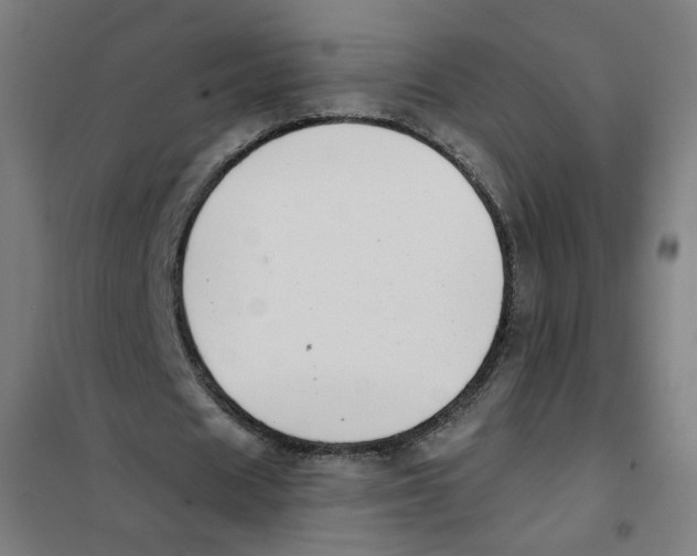 X0000101180625200807250940