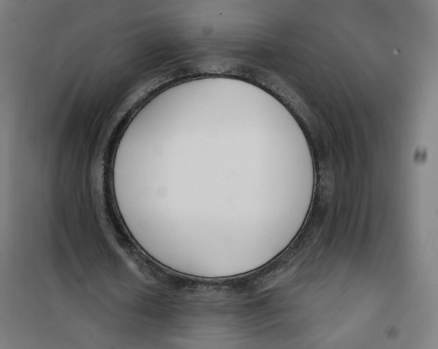 X0000101180626200807250940