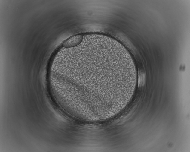 X0000101180627200807250940