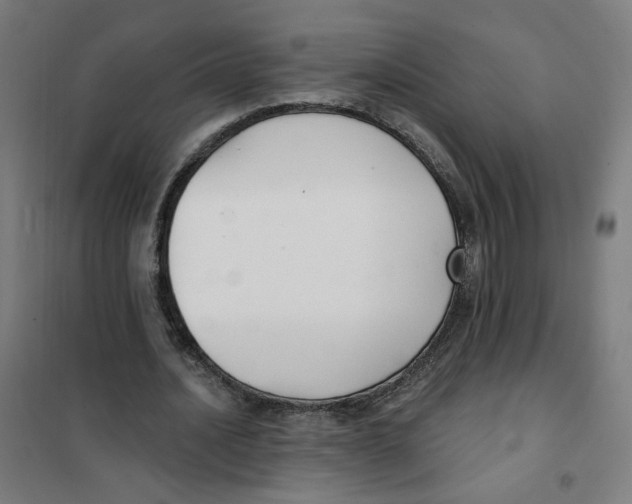 X0000101180628200807250940