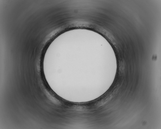 X0000101180629200807250940