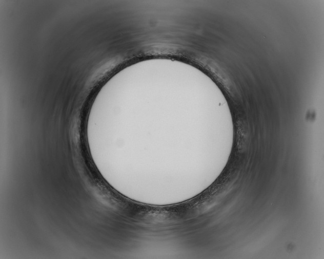 X0000101180631200807250940