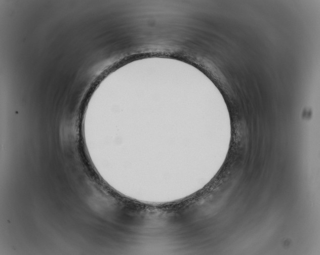 X0000101180632200807250940