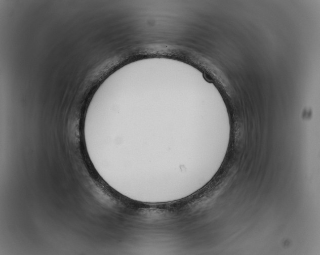 X0000101180633200807250940