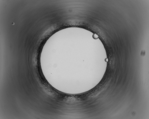 X0000101180635200807250940