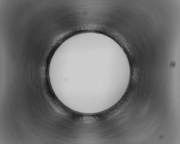 X0000101180636200807250940