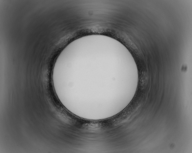 X0000101180639200807250941