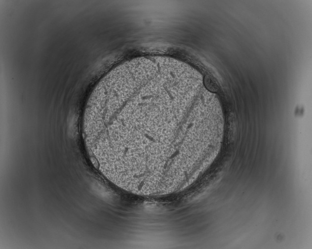 X0000101180641200807250941