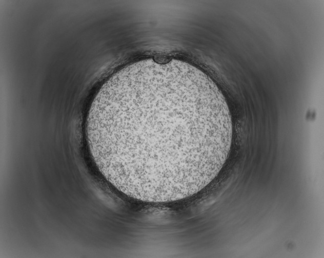 X0000101180642200807250941