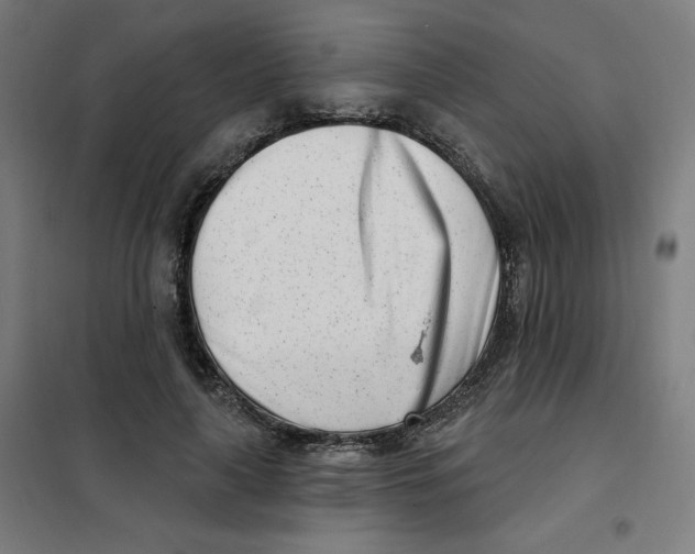 X0000101180643200807250941