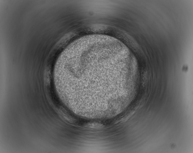 X0000101180644200807250941