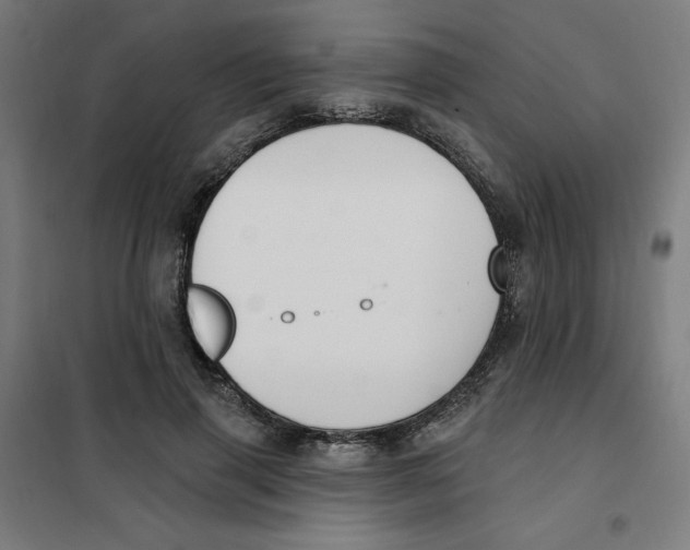 X0000101180645200807250941