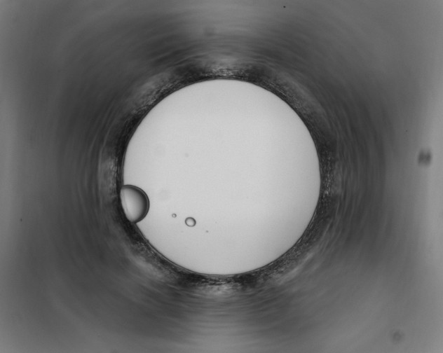 X0000101180646200807250941