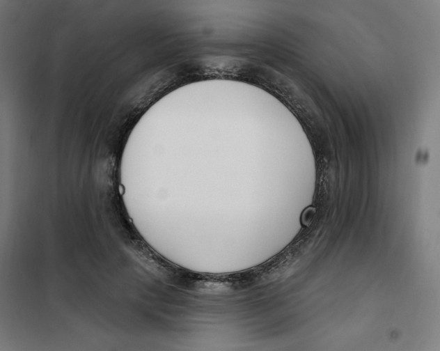 X0000101180649200807250941