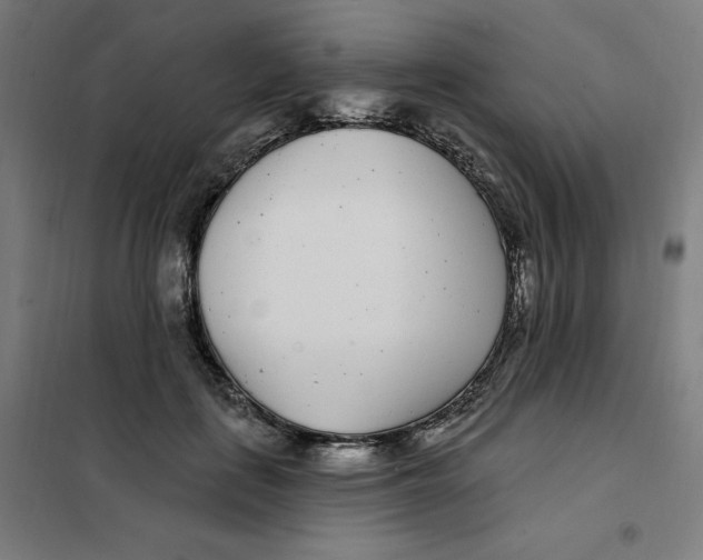 X0000101180651200807250941