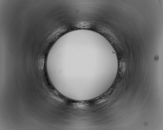 X0000101180652200807250941