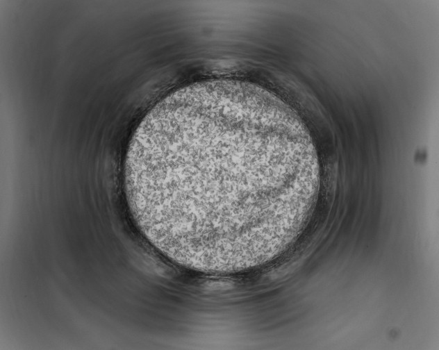 X0000101180653200807250941
