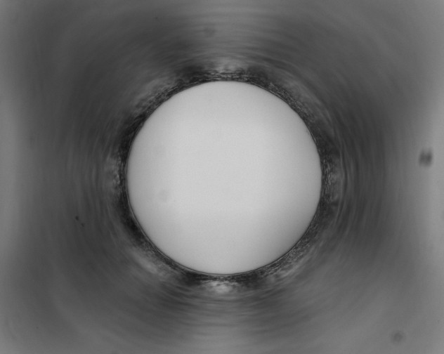 X0000101180654200807250941