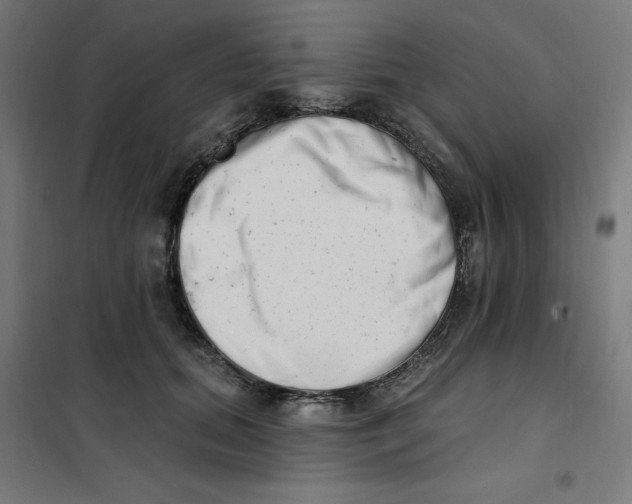 X0000101180655200807250941