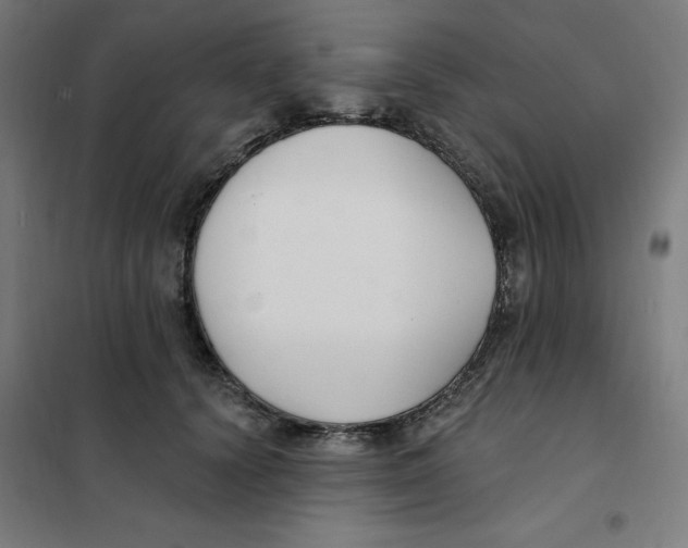 X0000101180656200807250941