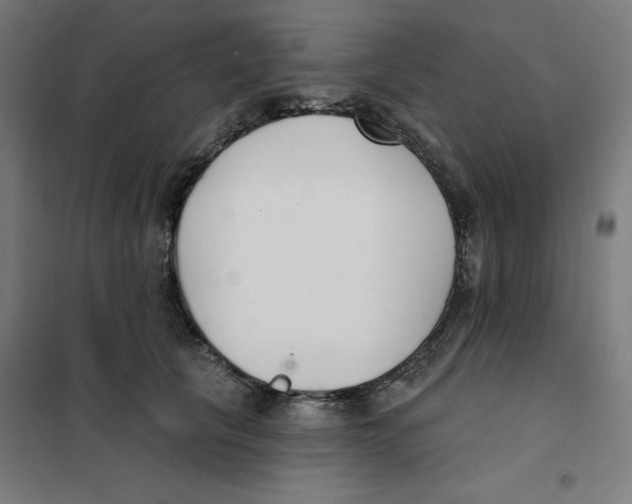 X0000101180657200807250941