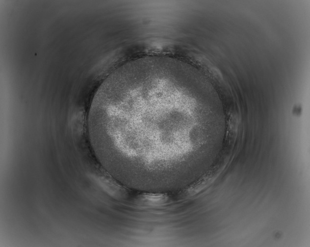 X0000101180659200807250941