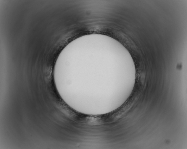 X0000101180660200807250941